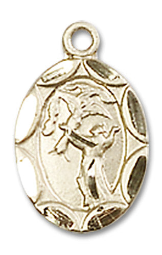 14kt Gold Saint Francis Medal