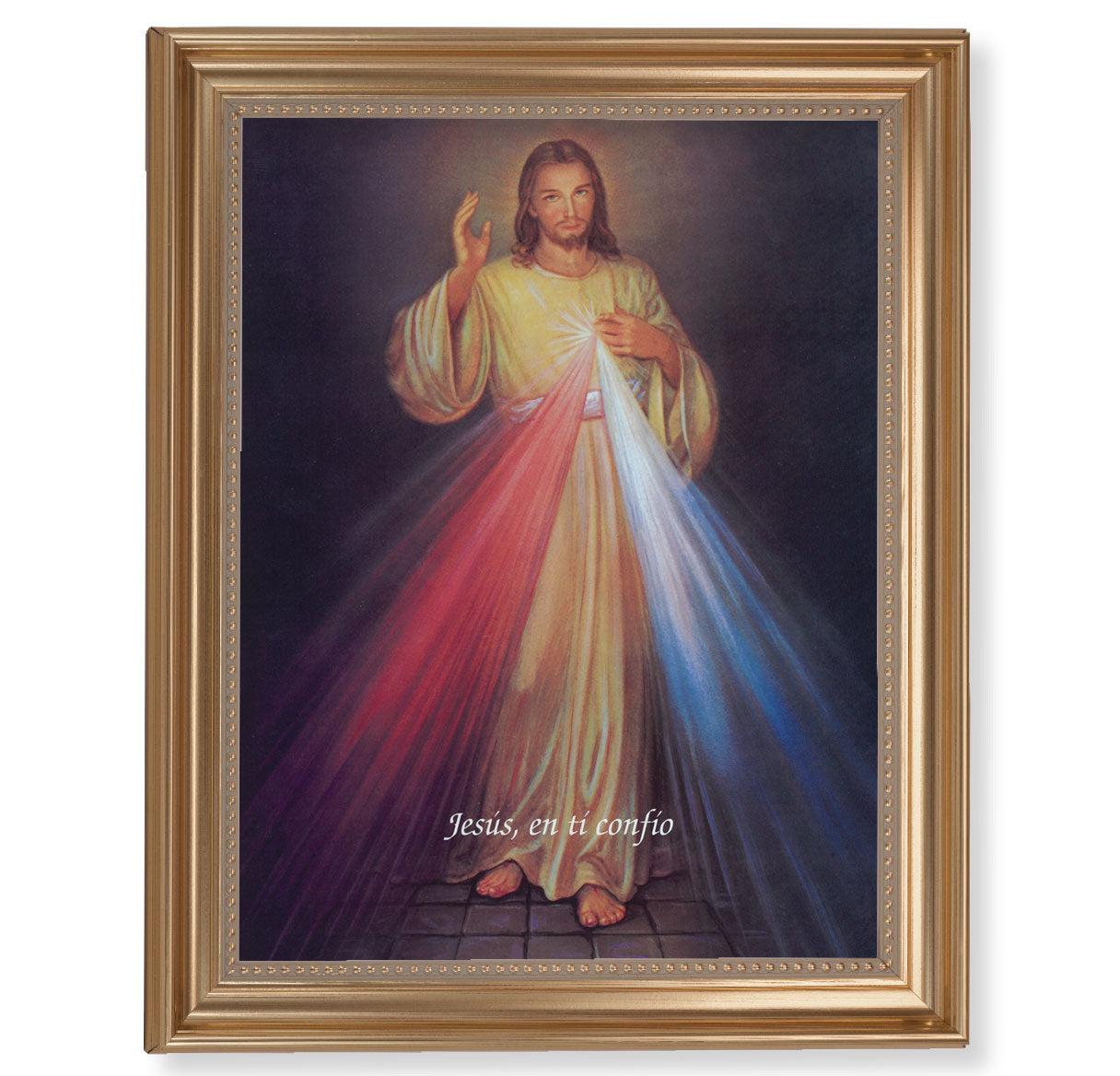 Divine Mercy (Spanish) Gold Framed Art