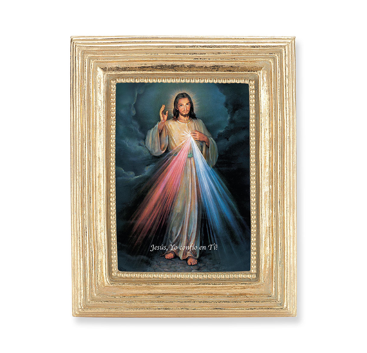 Divine Mercy (Spanish) Gold Framed Print