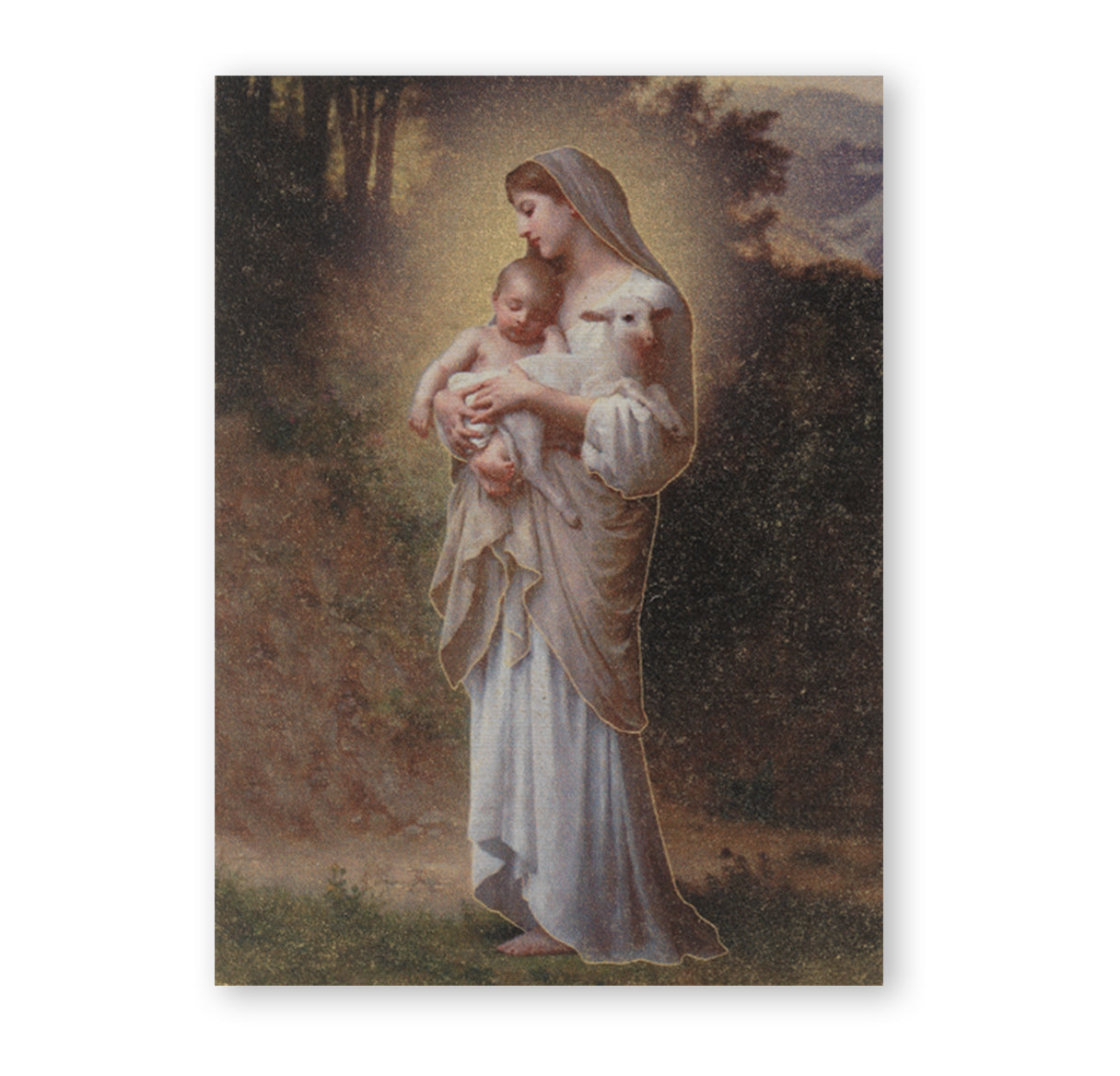 Divine Innocence Textured Wood
