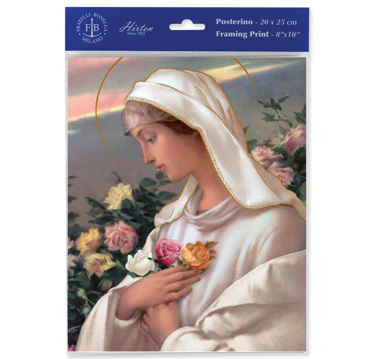 Mystical Rose Print (Pack of 3)