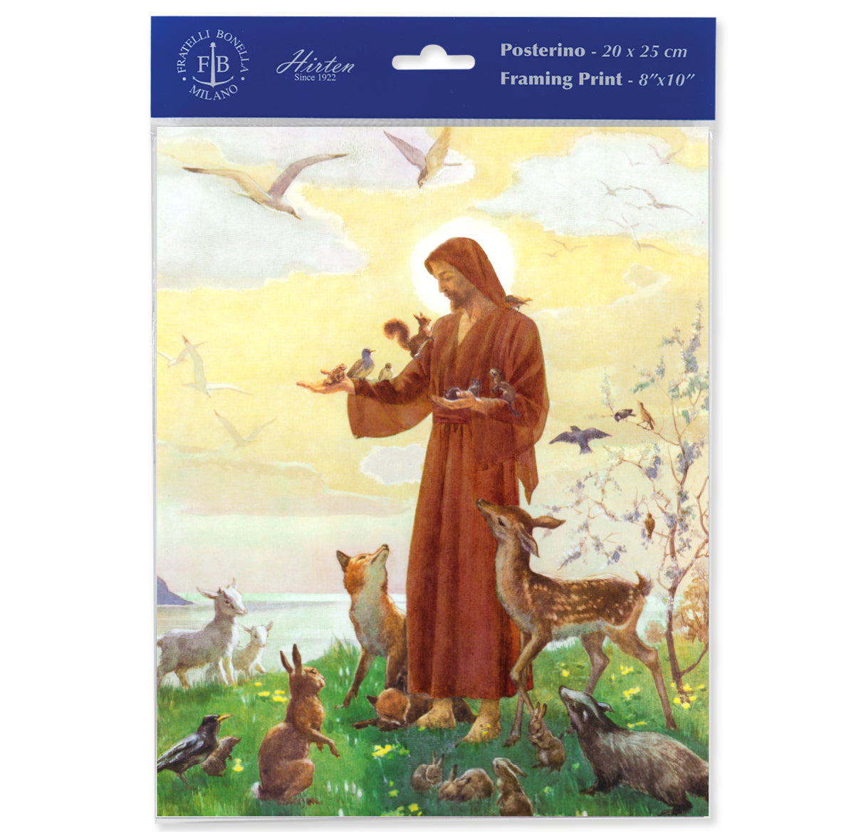 St. Francis Print (Pack of Three)