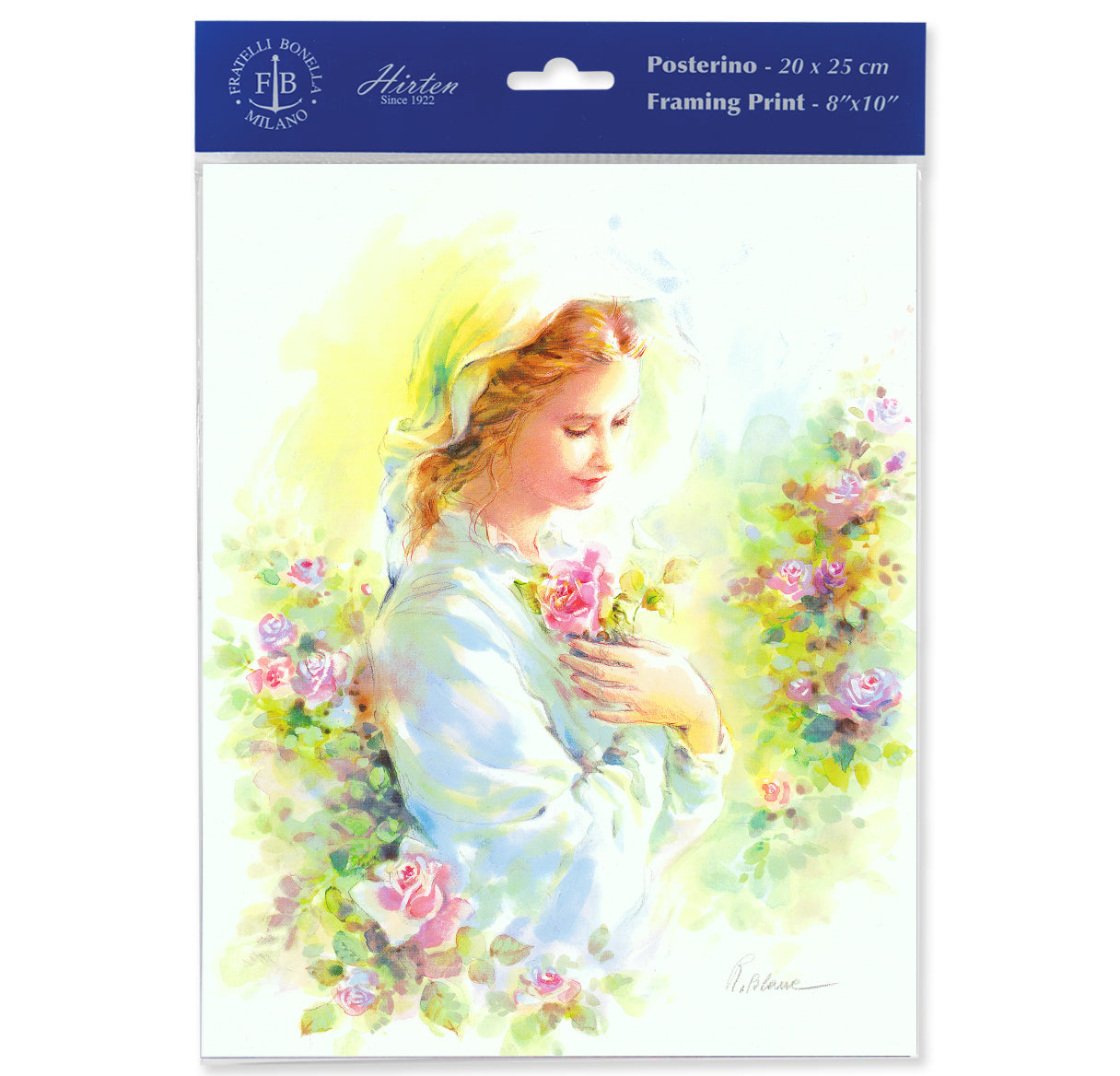 Mystical Rose Print (Pack of 3)