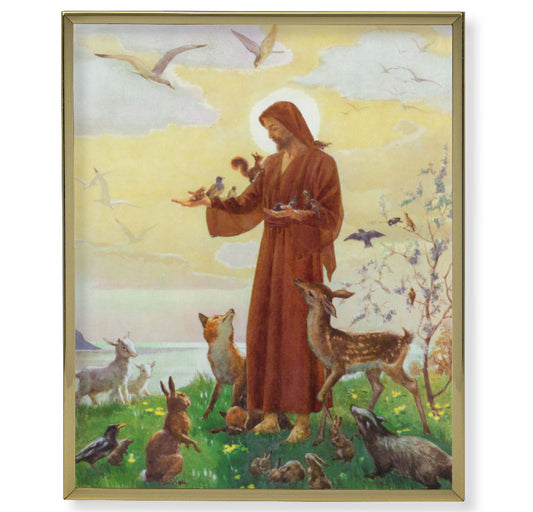 St. Francis Gold Framed Plaque