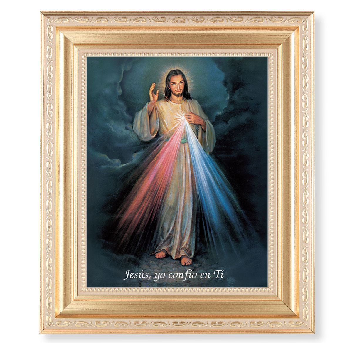 Divine Mercy (Spanish) Gold Framed Art