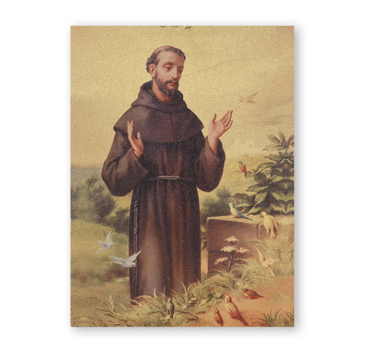 St. Francis Textured Wood