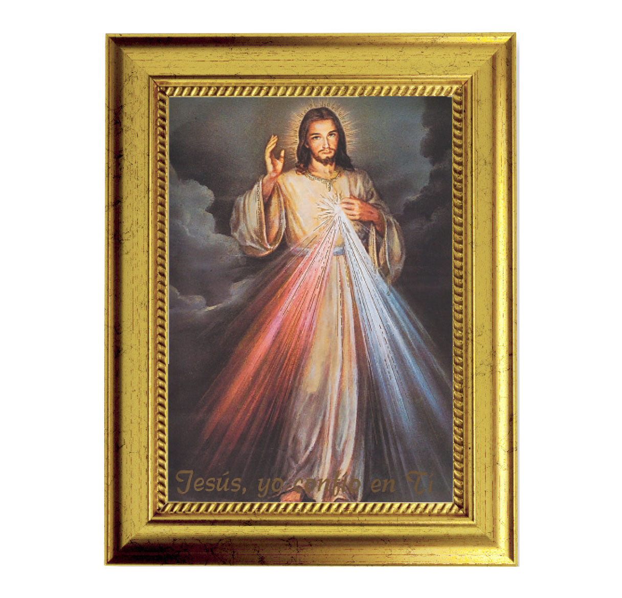 Divine Mercy (Spanish) Gold-Leaf Framed Art
