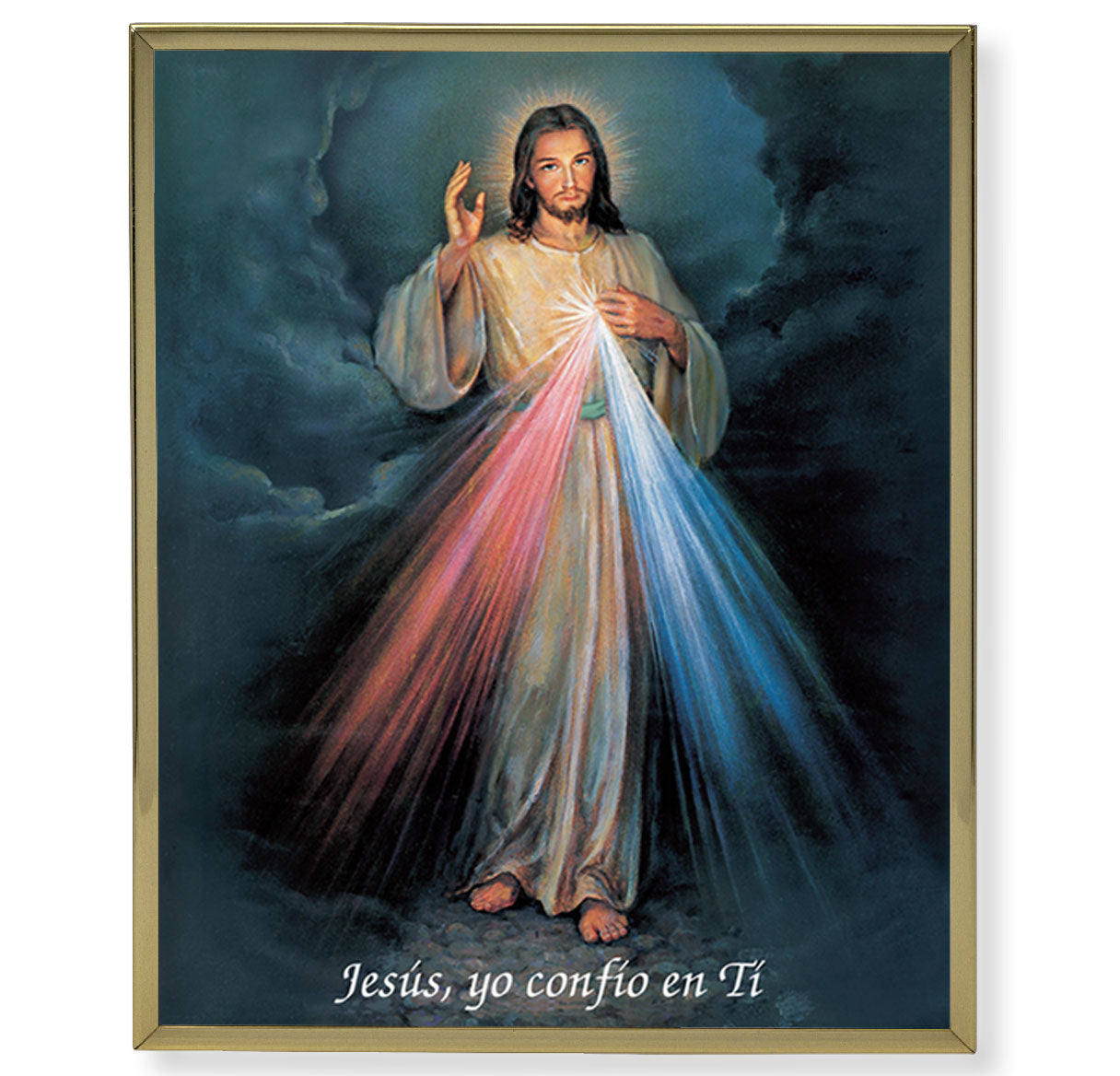 Divine Mercy (Spanish) Gold Framed Plaque Art