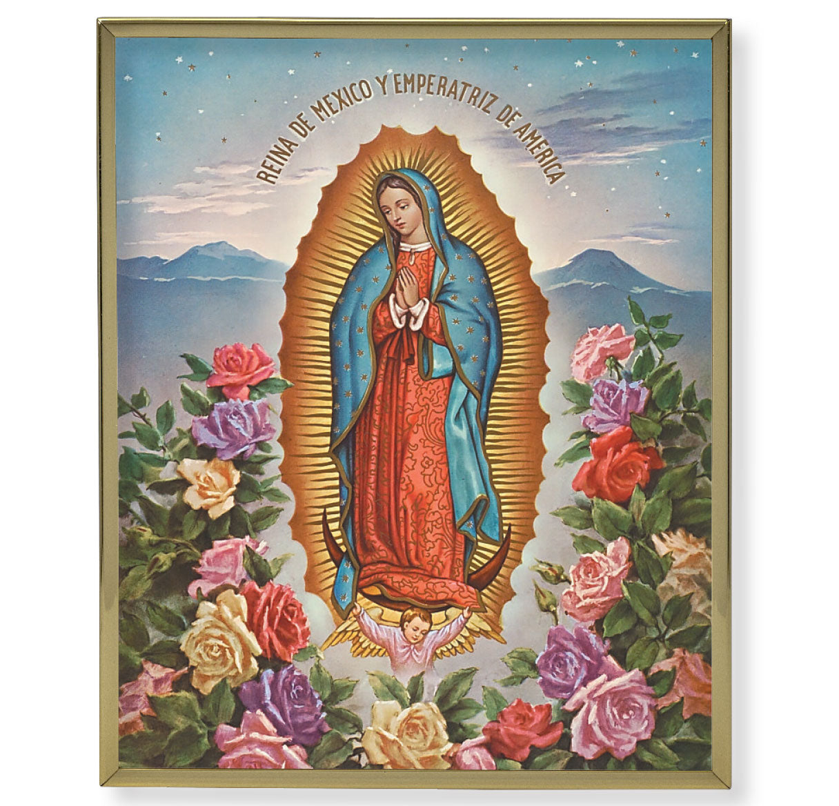 Our Lady of Guadalupe Gold Framed Plaque Art