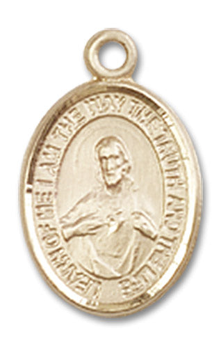 14kt Gold Scapular Medal – The Catholic Shop