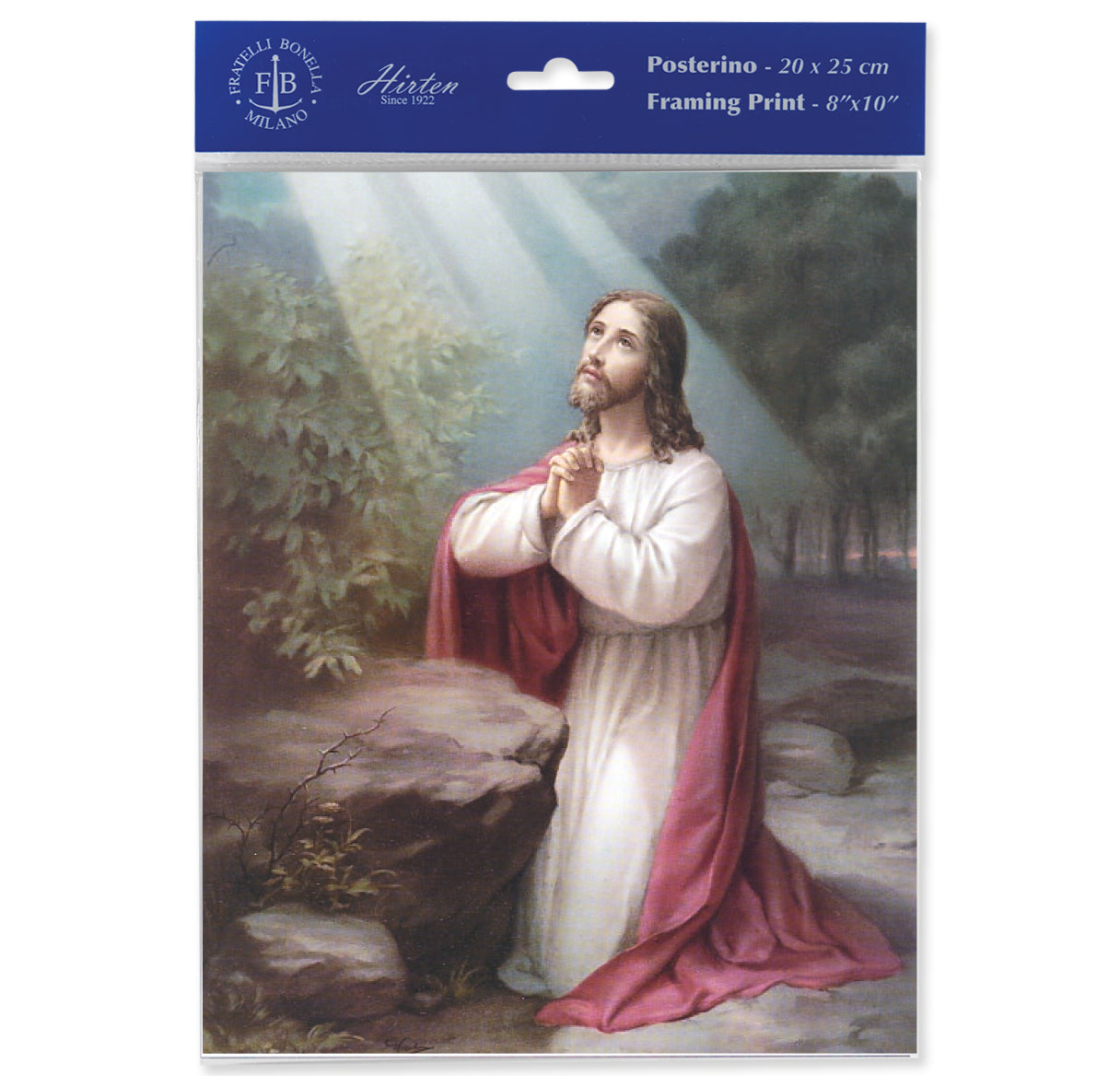 Christ on the Mount of Olives Print (Pack of 3)