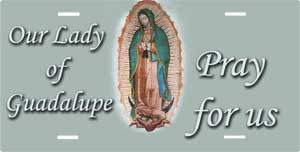 Our Lady Of Guadalupe License Plate